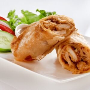 Chapli Paratha Roll